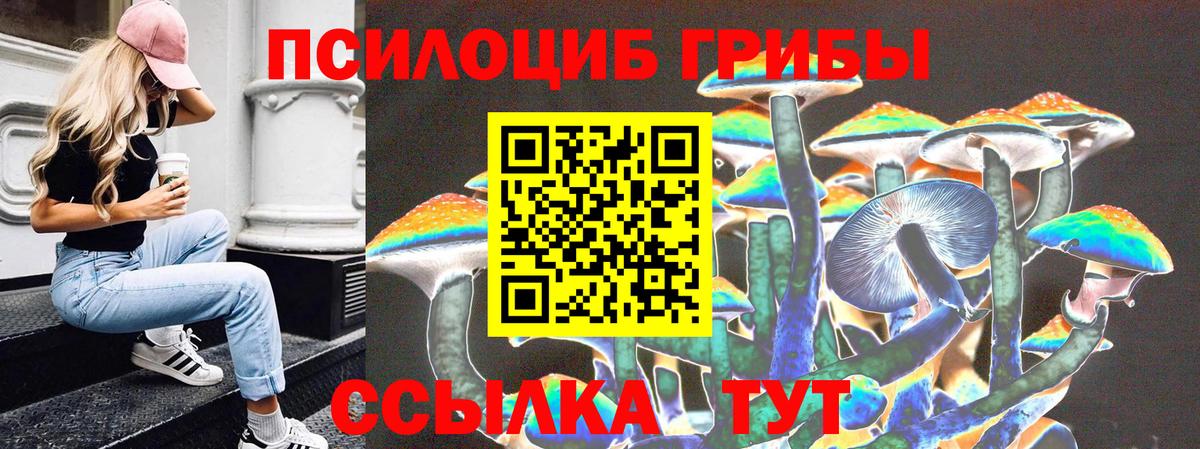 Псилоцибиновые грибы GOLDEN TEACHER Лысьва